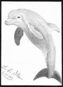 Dolphin-SCANNED_greyscale