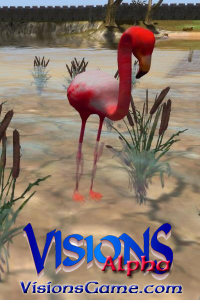 Visions_alpha_Flamingo_Portrait_400x600